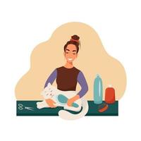 Grooming for pets, girl combs a cat, vector illustration in flat style