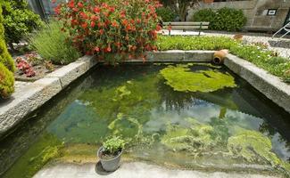 A pond surrounded by plants in a Portuguese garden