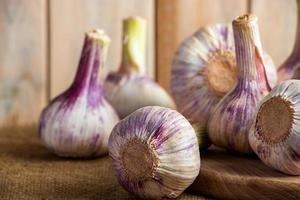 Fresh garlic on a wooden background. Fragrant spice for cooking. photo