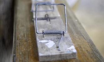 Wooden mousetrap detail photo