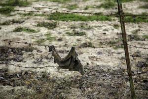 Barbed wire immigration photo