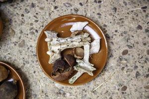 Bones for witchcraft and magic photo