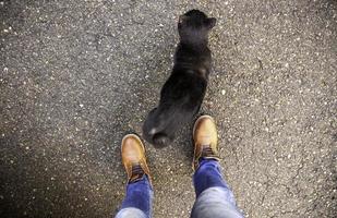 Black cat on street photo