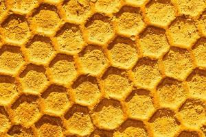 Beeswax pattern background photo