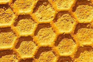 fondo de patrón de cera de abejas foto