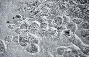 Footprints in snow photo