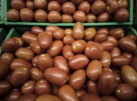 Tomates pera en un mercado de Navarra España