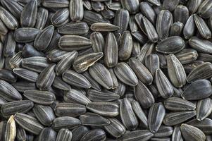 Black sunflower seeds. For texture or background photo