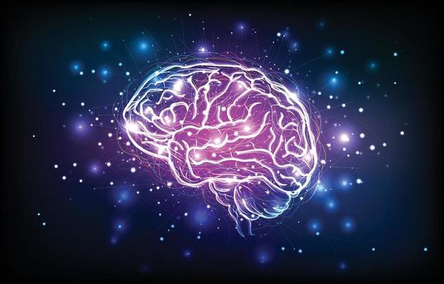 Digital Human Brain with Neuron and Synapse
