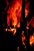 Close up of burning logs in the fireplace on black background photo