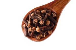 clove in spoon isolated on a white background photo