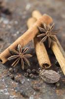 Cinnamon sticks, anise stars, cardamom and black peppercorns on textured background photo