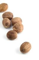 Nutmeg isolated on white background. Close up. photo