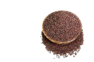 Indian Brown Mustard Seeds isolated on white background photo