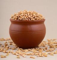 Wheat grains in clay pot on cream background. Close up. photo