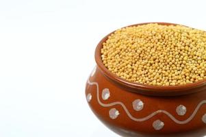 yellow mustard seeds in clay pot isolated on white background photo