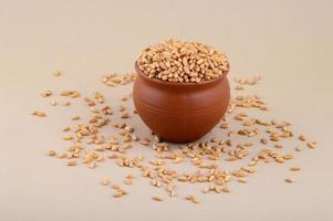 Wheat grains in clay pot on cream background. Close up. photo