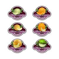 Various melon in the style of badges