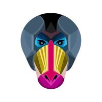 mandrill head front mascot vector art