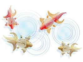 Japanese Vintage Style Vector Goldfish illustration Isolated On A White Background.