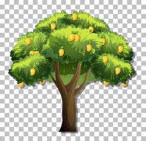 árbol de mango aislado vector