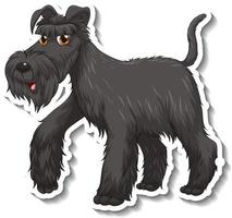 Sticker design with black schnauzer dog isolated vector