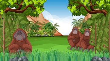 orangután en el bosque o la escena de la selva tropical con muchos árboles vector