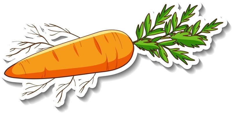 A sticker template with root vegetable carrot isolated