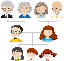 diagrama que muestra el árbol genealógico de tres generaciones vector