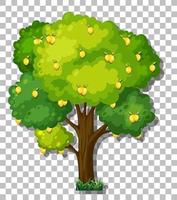 Lemon tree isolated vector