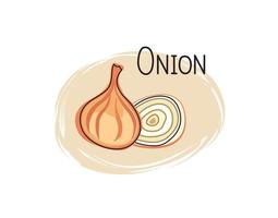 Onion icon. Half and full slice onion isolated on white background with lettering onion Vegetable stylish drawn symbol onion vector