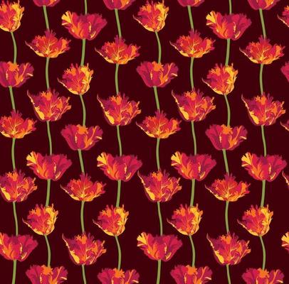Floral bloom pattern. Flower tuliip background. Flourish bloom ornamental garden