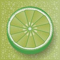 Lemon wheel icon vector