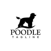 Poodle dog logo vector