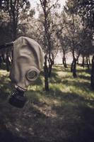 Gas mask in a forest photo