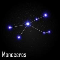 Constelación de monoceros con hermosas estrellas brillantes en el fondo de la ilustración de vector de cielo cósmico