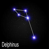 Constelación de Delphinus con hermosas estrellas brillantes en el fondo de la ilustración de vector de cielo cósmico