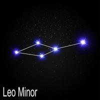 Constelación menor de leo con hermosas estrellas brillantes en el fondo de la ilustración de vector de cielo cósmico