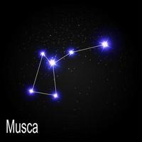 Musca Constellation with Beautiful Bright Stars on the Background of Cosmic Sky Vector Illustration