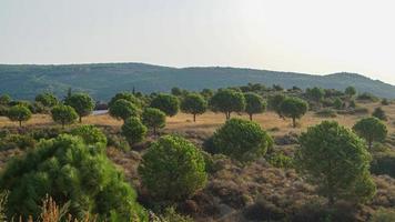 vistas matutinas de las montañas erdek foto