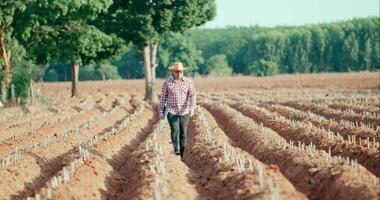 giovane agricoltore che cammina e tiene in mano un computer portatile sull'area coltivata video