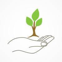 Hand holding a young tree symbol vector
