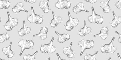 garlic seamless pattern vector