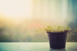 Flower pot is raining on the balcony photo