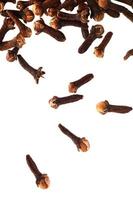 Cloves isolated on white background photo