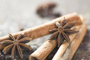 Cinnamon sticks, anise stars and black peppercorns on textured background photo
