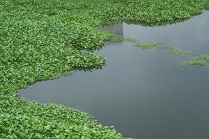 water pollution with garbage on water photo