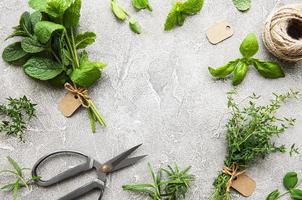 Fresh herbs on grey concrete background photo