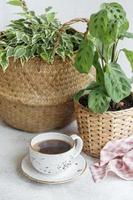 Ficus benjamin in a straw basket, maranta kerchoveana and cup of coffee photo