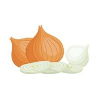 whole and chopped onions vector